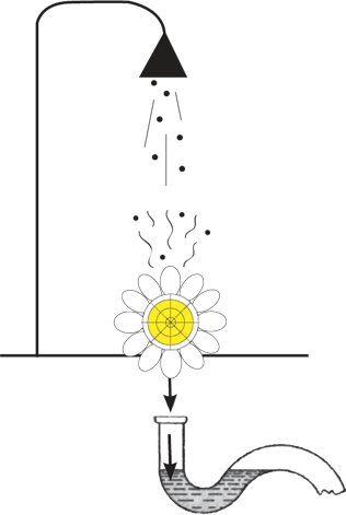 Powerflower shower diagram